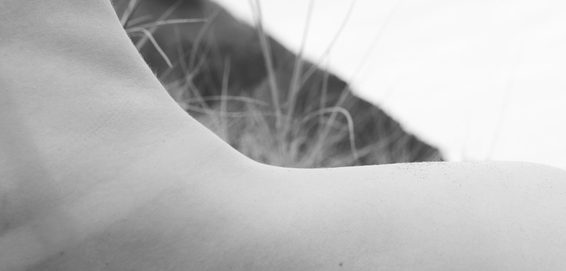 files-slowestudiobrooke-jpg files-slowestudiobrooke-jpg